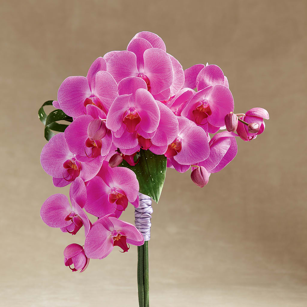 Glorious Bouquet – Floral Elegance By Jourdain, Inc., Columbia SC