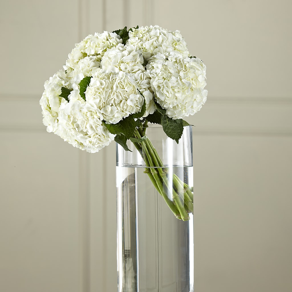 White Hydrangea Hand-Tied Bouquet – Floral Elegance By Jourdain, Inc., Columbia SC