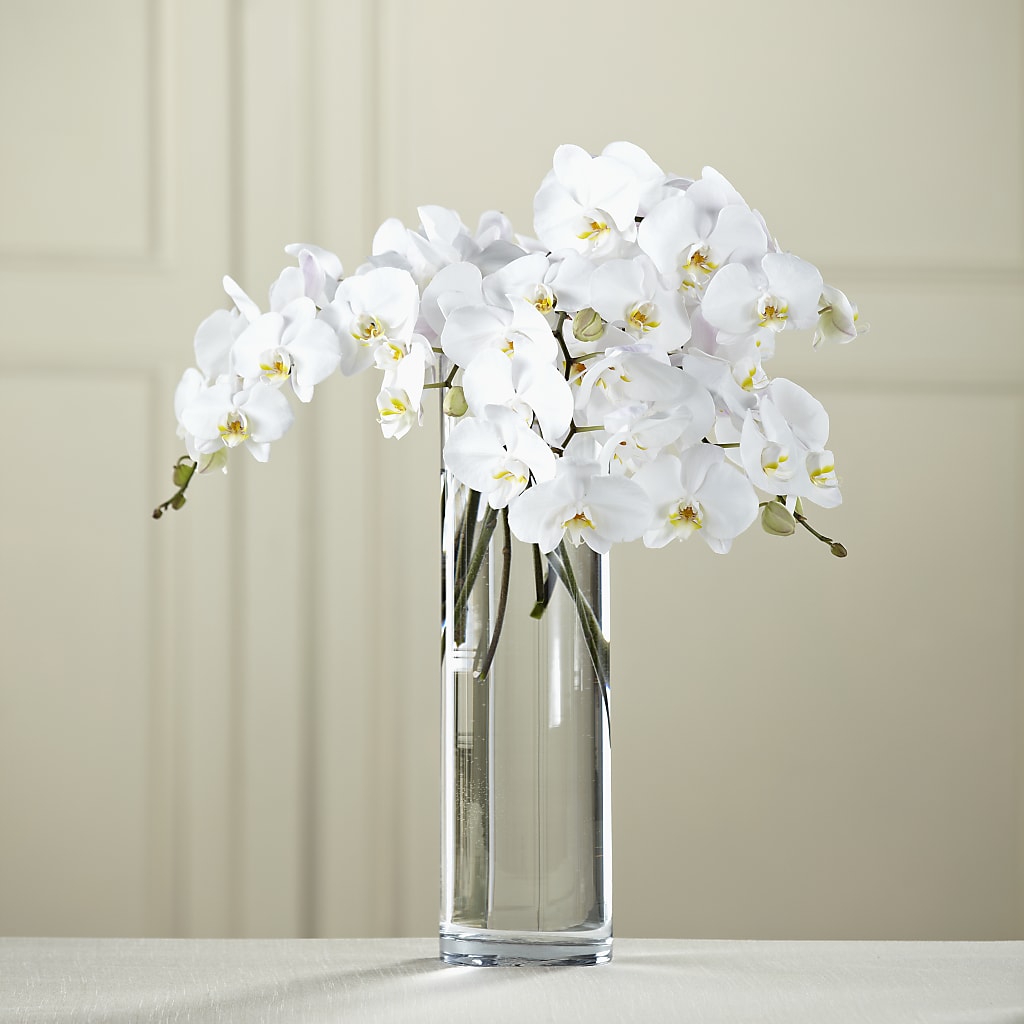 White Phalaenopsis Bouquet – Floral Elegance By Jourdain, Inc., Columbia SC