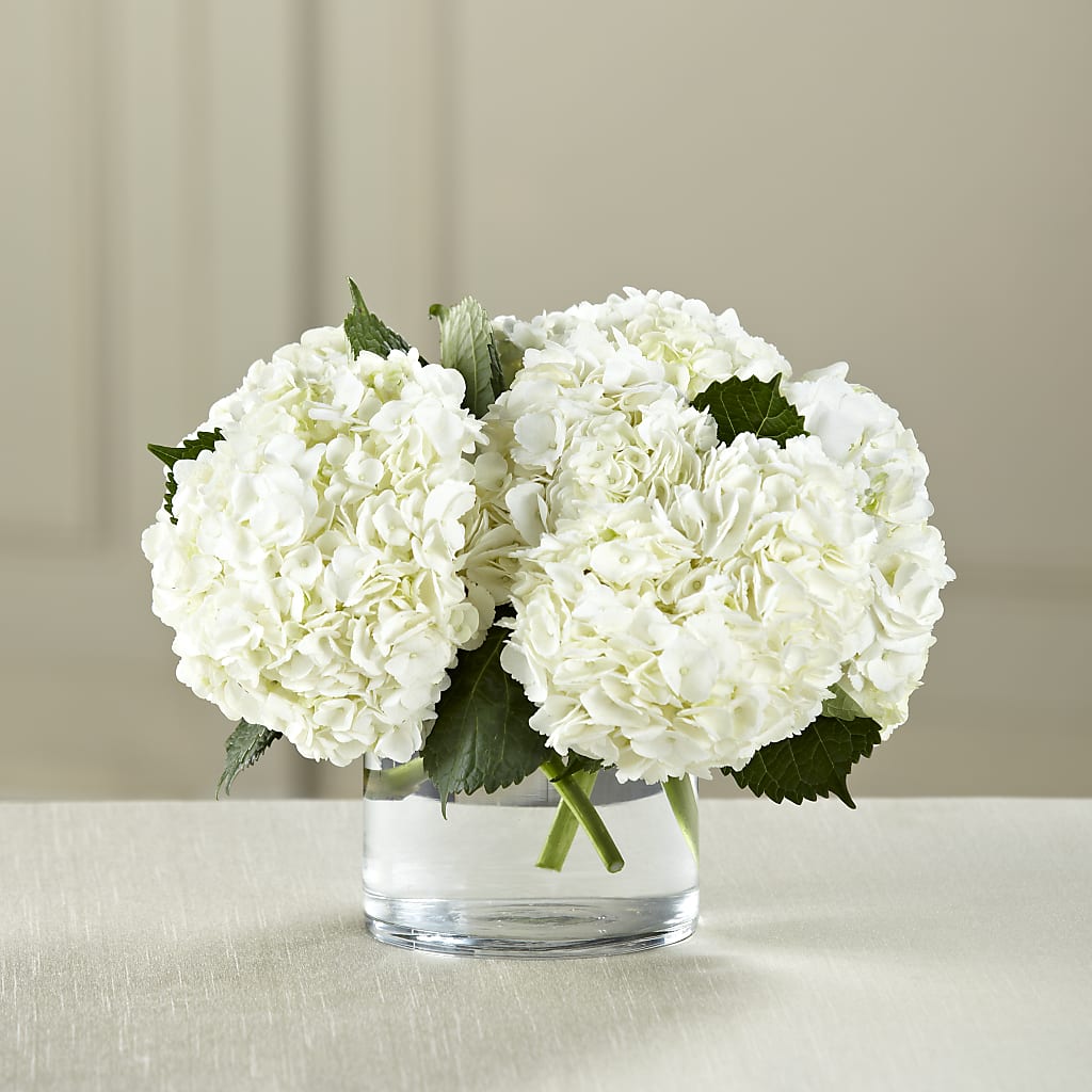 White Hydrangea Bouquet – Floral Elegance By Jourdain, Inc., Columbia SC